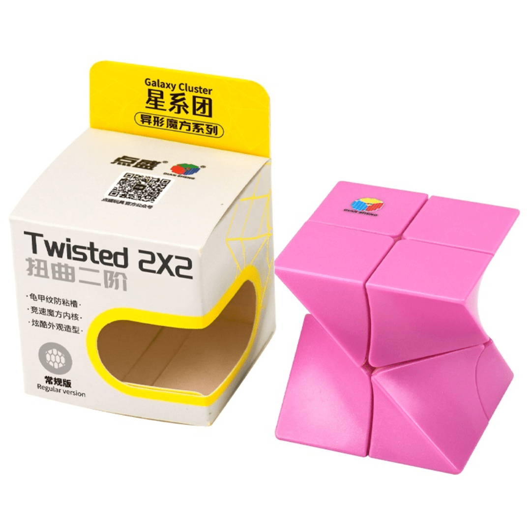 [Pre Order] - DianSheng Twisted 2x2 shape mod speedcube
